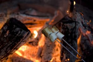 marshmallows on campfire